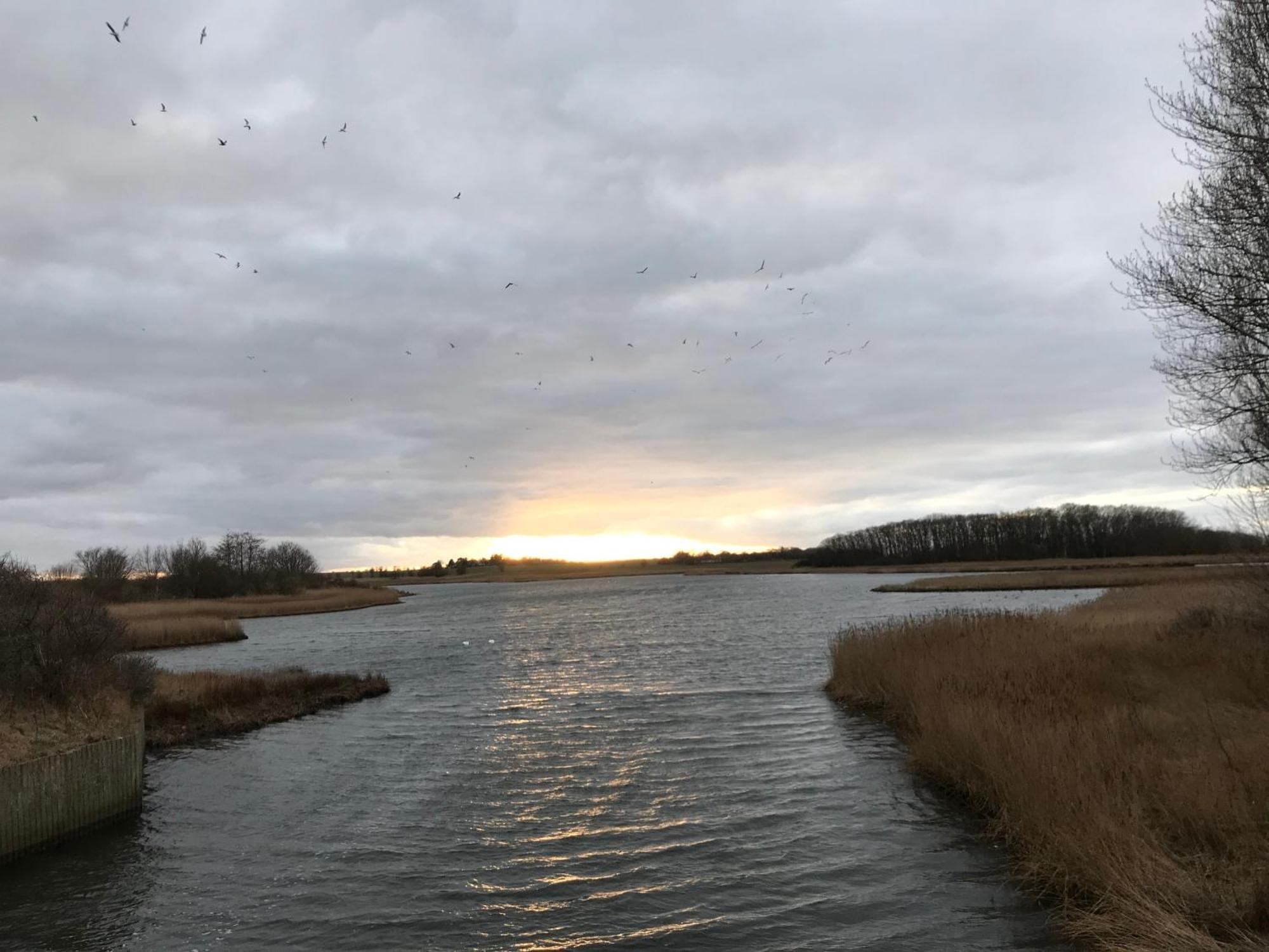Ferienwohnung Meeresblick Heiligenhafen Bagian luar foto